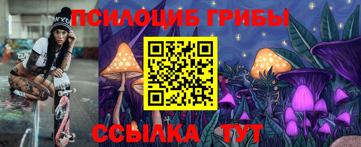 Псилоцибиновые грибы Cubensis  Вход с VPN  купить закладку  Нижнекамск 