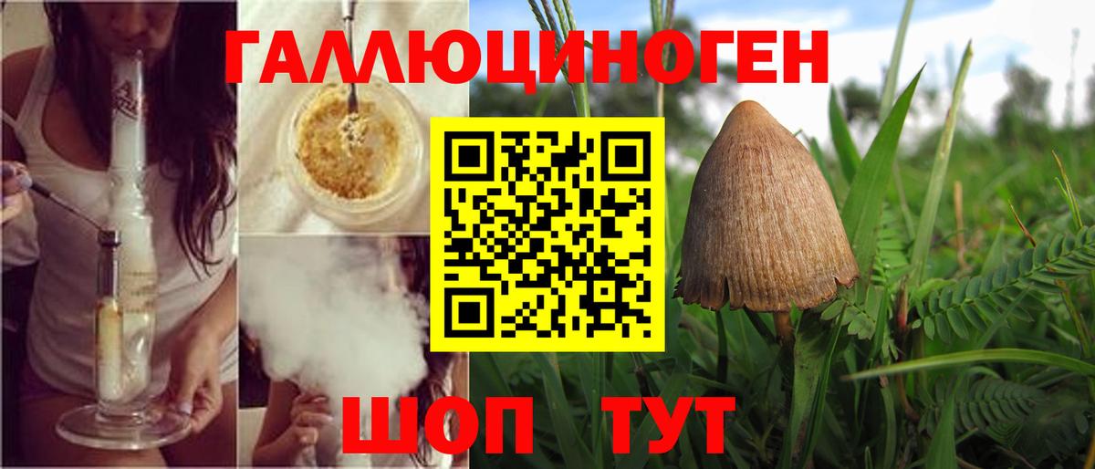 Псилоцибиновые грибы Magic Shrooms Нижнекамск